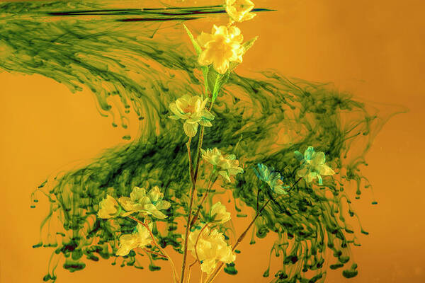 Flowers Art Print featuring the photograph Swirling green cloud surrounding yellow flowers by Dan Friend