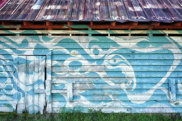 Barn Art Print featuring the photograph Swirling Siding by Denise Bush