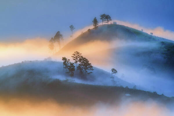 Spring Art Print featuring the photograph Symphony Of Light And Fog by Khanh Bui Phu