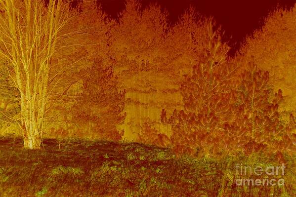 Red Art Print featuring the photograph Forest Tapestry Abstract by Terri Gostola