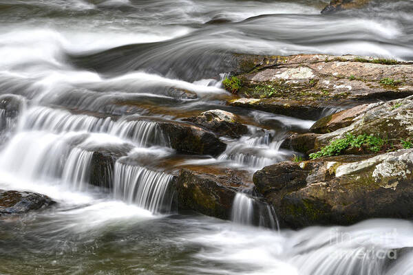 Cherokee National Forest Art Print featuring the photograph Tellico River 2 by Phil Perkins