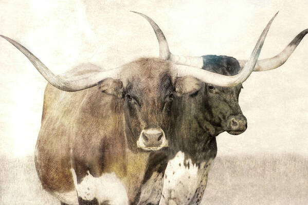 Longhorn Art Print featuring the photograph Texas Longhorn Pair Sepia by Ann Powell