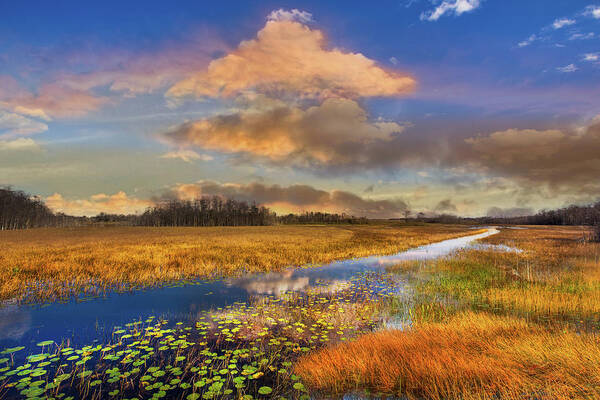Clouds Art Print featuring the photograph The Everglades Sunset by Debra and Dave Vanderlaan