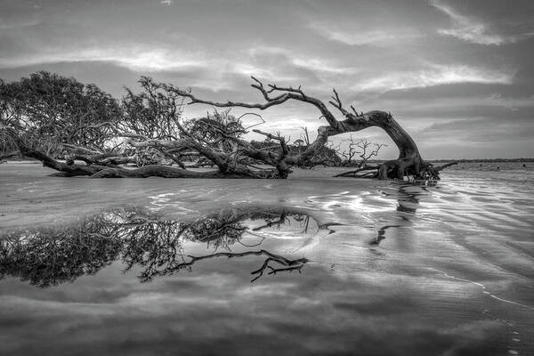 Clouds Art Print featuring the photograph The Giant has Fallen Jekyll Island Sunrise Black and White by Debra and Dave Vanderlaan