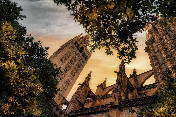 Cathedral Art Print featuring the photograph The Gothic Cathedral by Micah Offman