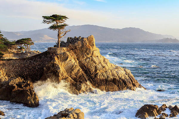Ngc Art Print featuring the photograph The Lone Cypress by Robert Carter