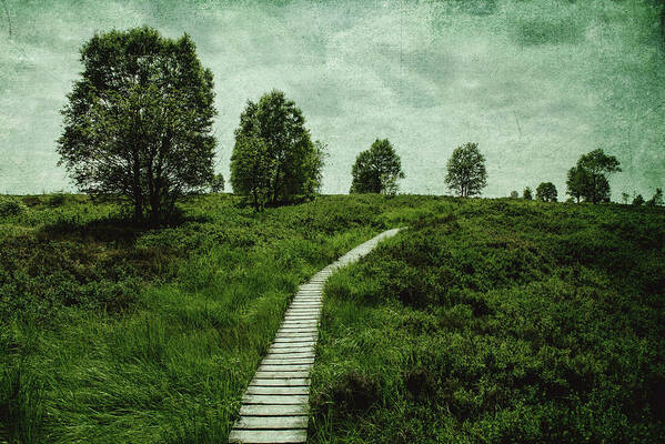 Land Art Print featuring the photograph The long path by Yasmina Baggili
