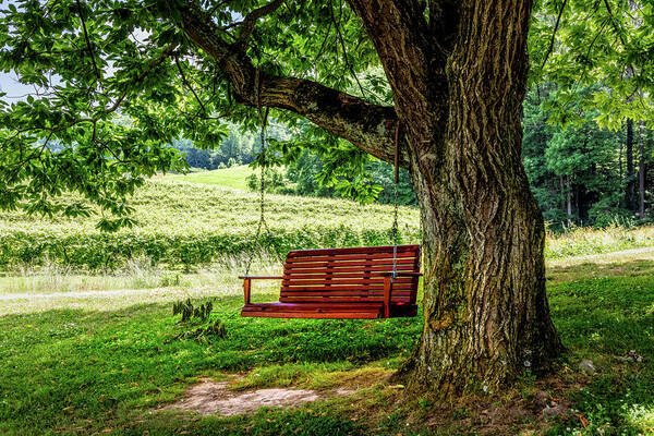Swing Art Print featuring the photograph The Red Swing at Cartecay by Debra and Dave Vanderlaan