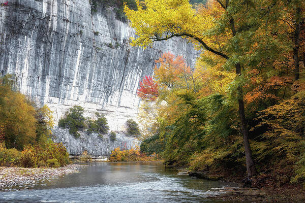 Buffalo River Art Print featuring the photograph The River Under The Cliff by James Barber