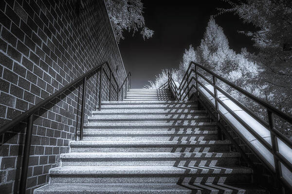 Stairs Art Print featuring the photograph The Stairs by Penny Polakoff