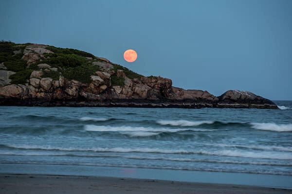 Gloucester Art Print featuring the photograph The Strawberry Moon rising over Good Harbor Beach Gloucester MA Island by Toby McGuire
