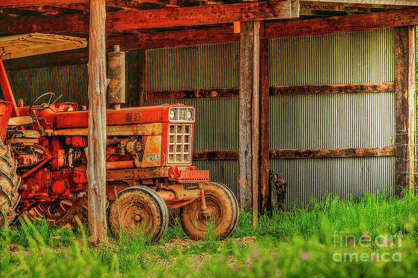 Tractor Art Print featuring the photograph The Red Tractor by Shelia Hunt