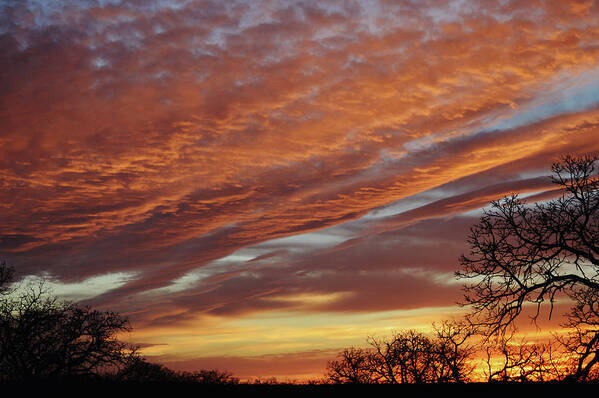 Sunset Art Print featuring the photograph Those Sunset Clouds in Texas Winter by Gaby Ethington