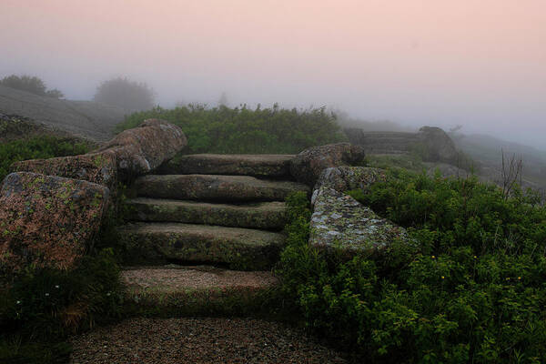 Fog Art Print featuring the photograph Through the Fog by Vicky Edgerly