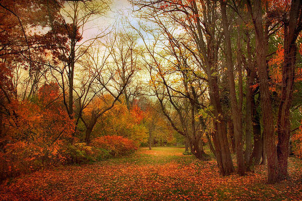 Autumn Art Print featuring the photograph Through the Woods by Jessica Jenney