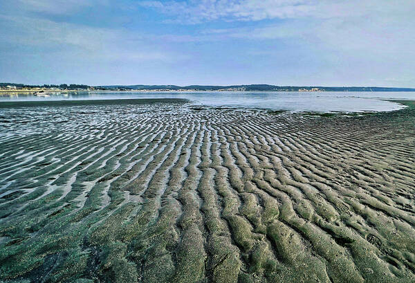 Beach Art Print featuring the photograph Tide rivulets by Bradley Morris