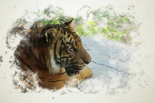 Tiger Art Print featuring the digital art Tiger Portrait with Textures by Alison Frank