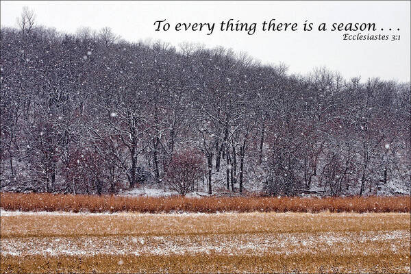 Text Art Print featuring the photograph To every thing there is a season by Nikolyn McDonald