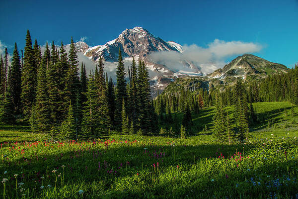 Mount Rainier National Park Art Print featuring the photograph To the Wild County by Doug Scrima