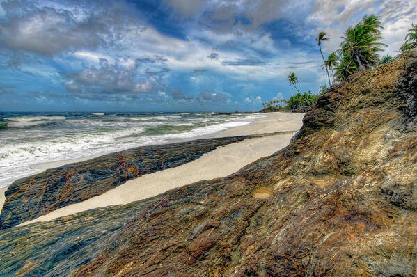 Beach Art Print featuring the photograph Toco Coastline by Nadia Sanowar