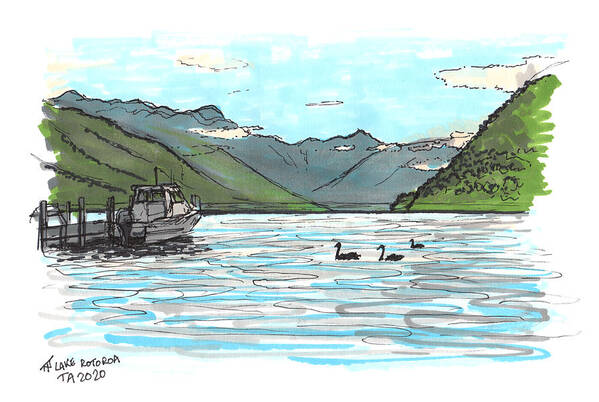 Aotearoa Art Print featuring the drawing Tour Aotearoa - Lake Rotoroa by Tom Napper