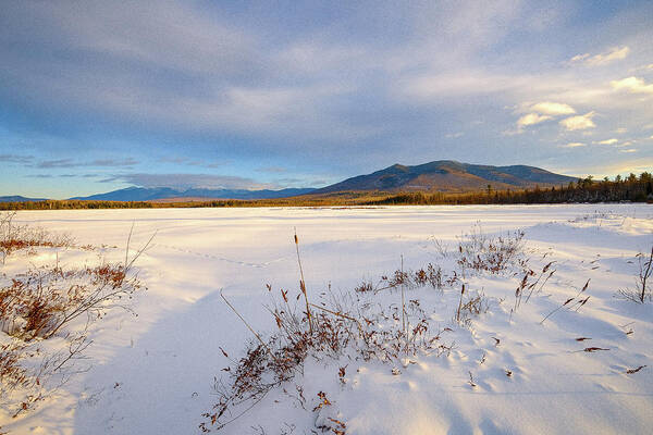 New Hampshire Art Print featuring the photograph Tracks In The Snow, Cherry Pond. by Jeff Sinon