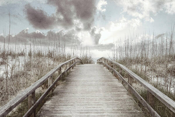 Clouds Art Print featuring the photograph Trail into Sunrise in Beachhouse Tones by Debra and Dave Vanderlaan