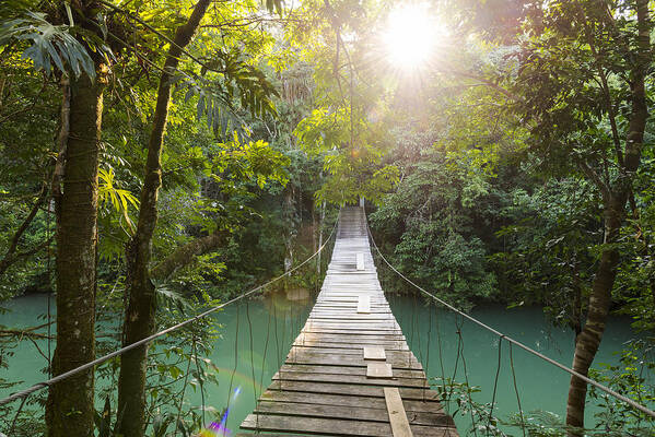 Non-urban Scene Art Print featuring the photograph Tranquil Forest Footbridge by THP Creative