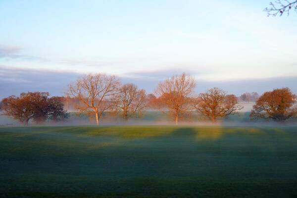 Trees Art Print featuring the photograph Trees One by Ian Hutson