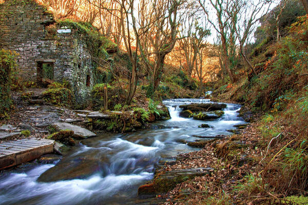 Trethevy Mill Art Print featuring the photograph Trethevy Mill and Rocky Falls by Gareth Parkes
