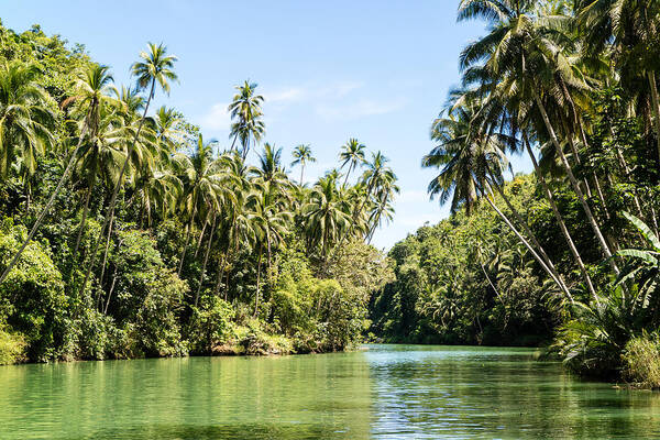 Scenics Art Print featuring the photograph Tropical River by Wolfgang Wörndl