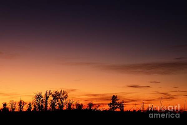 Photography Art Print featuring the photograph Twilight at Crex Meadows by Larry Ricker