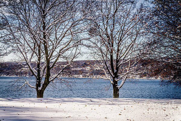 Winter Art Print featuring the photograph Twin Winter Trees by William Norton