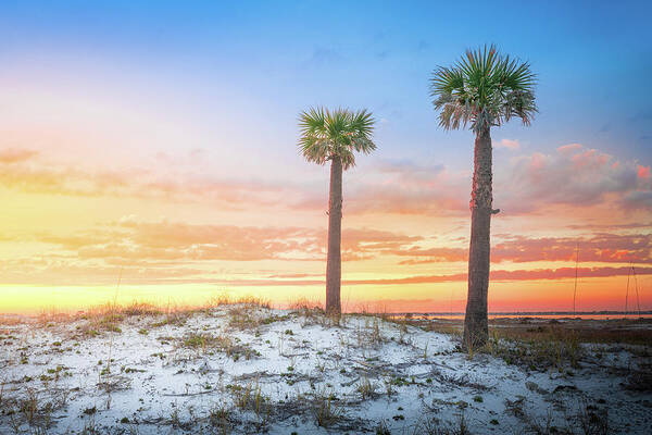 Palm Tree Art Print featuring the photograph Two Palm Trees At Sunset Pensacola Florida by Jordan Hill