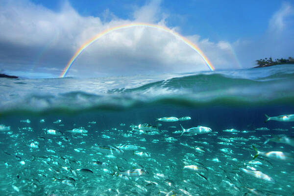  Sea Art Print featuring the photograph Under the Rainbow by Sean Davey
