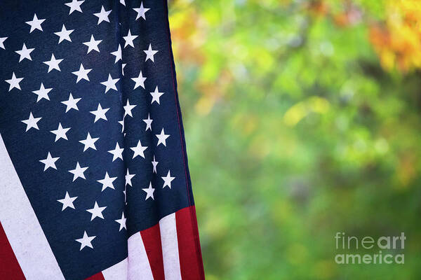 American Flag Art Print featuring the photograph United States Of America by Doug Sturgess