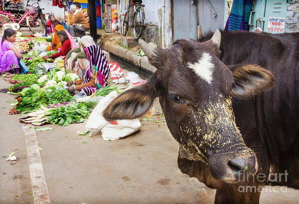 India Art Print featuring the photograph Varanasi Vegetable Market by David Little-Smith