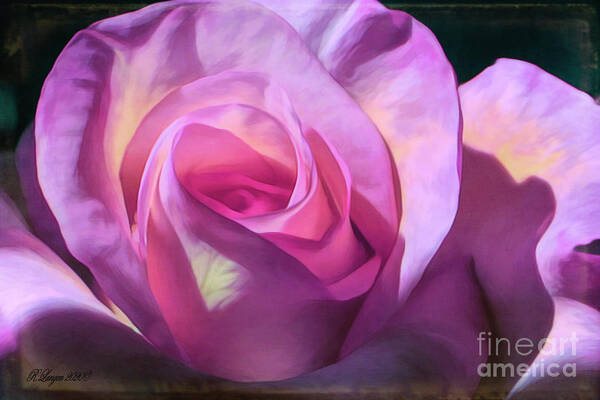 Photography Art Print featuring the digital art Velvet Rose by Rebecca Langen