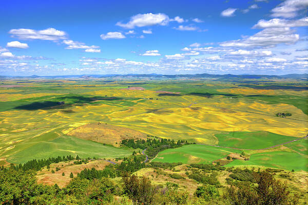 Hdr Art Print featuring the photograph View from Steptoe Butte by David Patterson