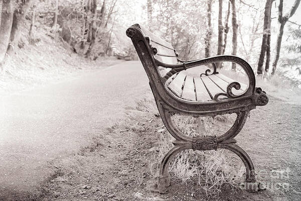 Bench Art Print featuring the photograph Vintage Bench 1 by Toni Somes
