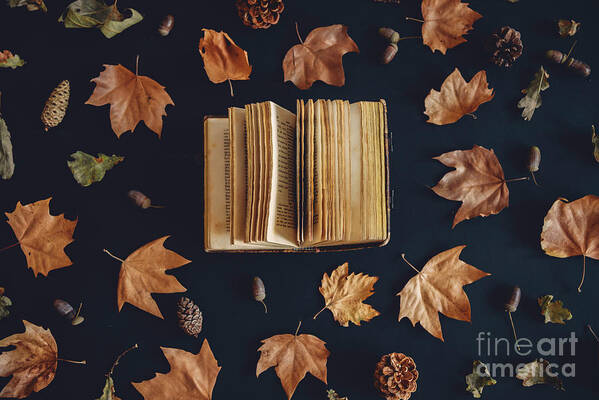 Autumn Art Print featuring the photograph Vintage book and autumn maple leaves on dark background from abo by Jelena Jovanovic