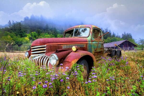 1941 Art Print featuring the photograph Vintage Chevy PIckup Truck in the Mountain Wildflowers by Debra and Dave Vanderlaan