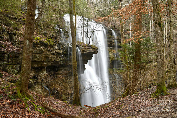 Virgin Falls Art Print featuring the photograph Virgin Falls 1 by Phil Perkins