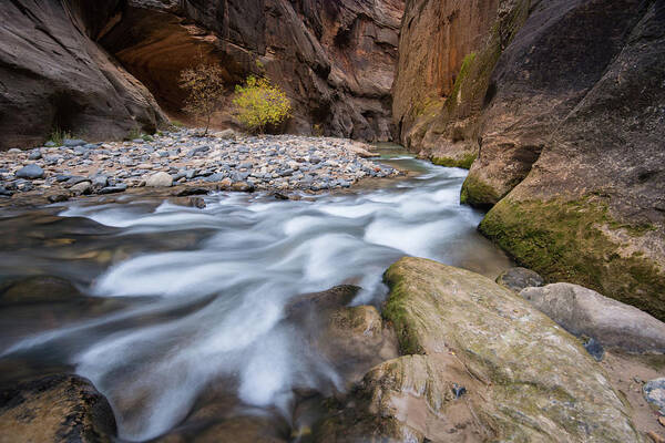 Zion Art Print featuring the photograph Virgin River Narrows by Wesley Aston