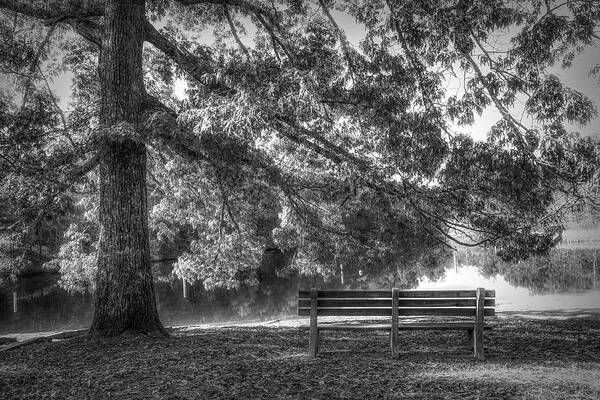 Benton Art Print featuring the photograph Waiting in the Fall Black and White by Debra and Dave Vanderlaan