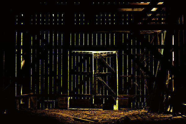 Barn Art Print featuring the photograph Walking Dead by Andrew Paranavitana