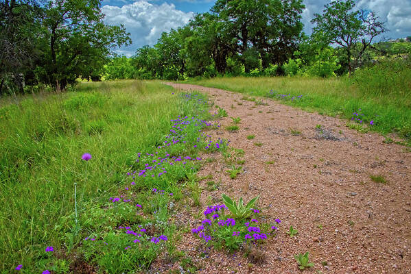 Texas Hill Country Art Print featuring the photograph Walking in Beauty by Lynn Bauer