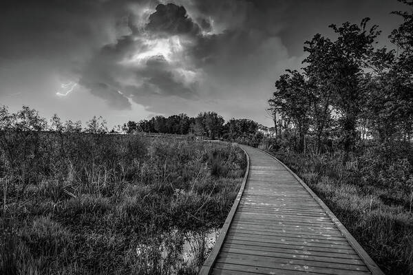 Osage Park Art Print featuring the photograph Walkway Into The Storm - Black And White Edition by Gregory Ballos