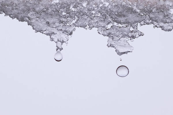Minimalism Art Print featuring the photograph Water Drops by Mary Lee Dereske