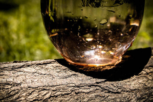 Water Art Print featuring the photograph Water Glass on a Log by W Craig Photography